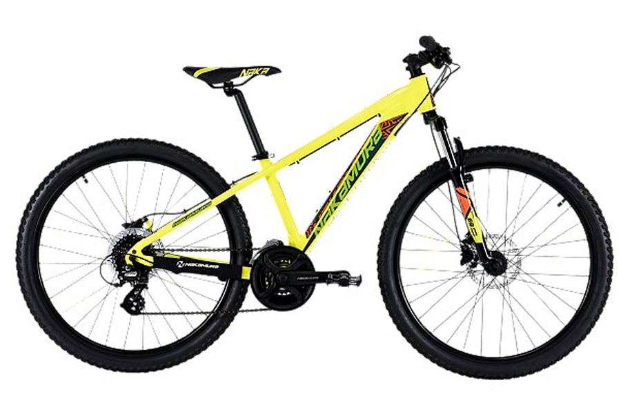 BIKE RENTAL ARVIEUX
